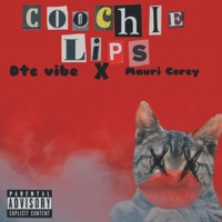 Coochie Lips (feat. Mauri Corey) - Single - DTC Vibe