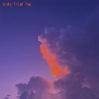 Hide From Me - Single - Swat