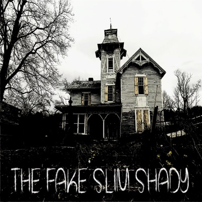 The Fake Slim Shady - Single