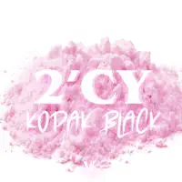 2'CY — Kodak Black