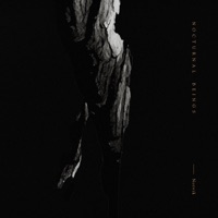 Nocturnal Beings - Single - Norvik