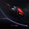 Whale - Single