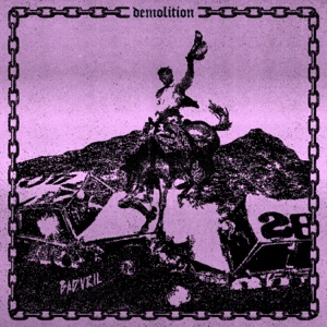 Demolition - Single