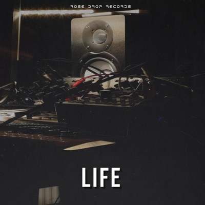 Life (feat. BSB & SevenR) - Single