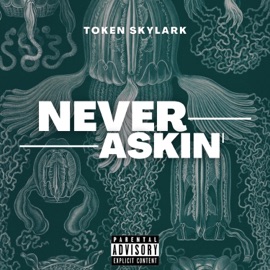 Never Askin Token Skylark