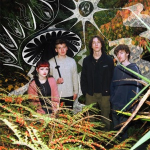 Basement View - EP