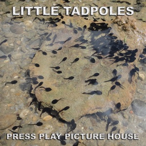 Little Tadpoles