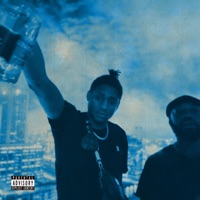 Feel the Love (feat. Napp Jones) - Single - Miyamoto Nash