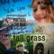 TALL GRASS (feat. Portugal. The Man) - Madge lyrics