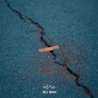 Zähle Narben - Single
