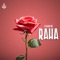 Raha - Hami lyrics