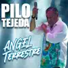 Pilo Tejeda - Ángel Terrestre (Bachata Version)