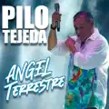 Angel Terrestre