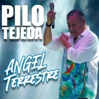 ANGEL TERRESTRE