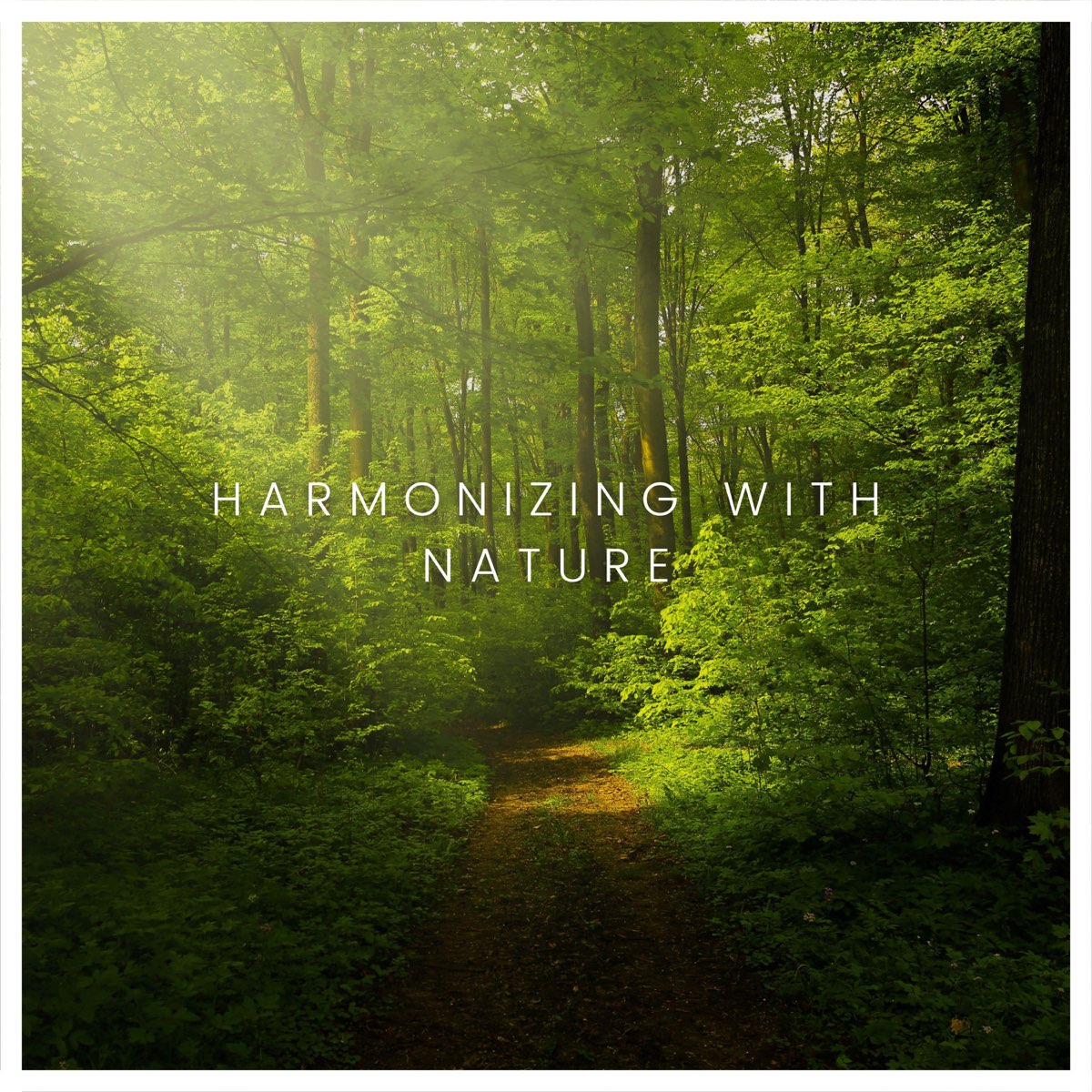 Harmonizing with Nature” álbum de Healing Sounds Of Shaman en Apple Music