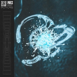 Future (Radio Edit) Pr!ce