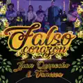 Falso Corazón