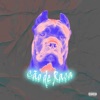 Cão de Raça - Single