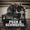 PECH & SCHWEFEL artwork