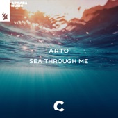 Sea Through Me artwork