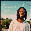 Overwhelmed, it's Ok - Single