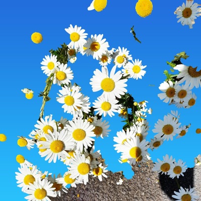 A Bright and Cheery Summer Mood - Single