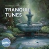 Tranquil Tunes: Calming and Centering Music for Relaxation and Reflection