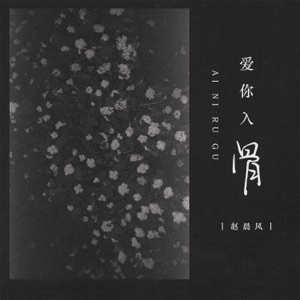 爱你入骨 - Single