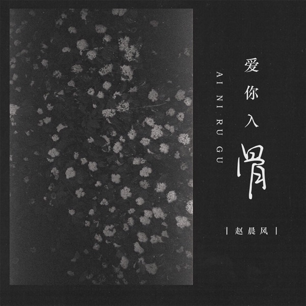 爱你入骨 - Single