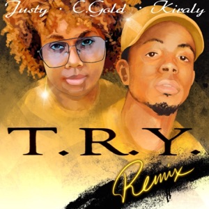 Try (feat. Kiraly Payne) [C Gold Remix] [C Gold Remix] - Single