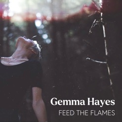 FEED THE FLAMES cover art