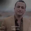 Ali YAPRAK