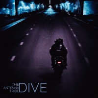 Dive (feat. Glasscat) - Single - The Antenna Tribe