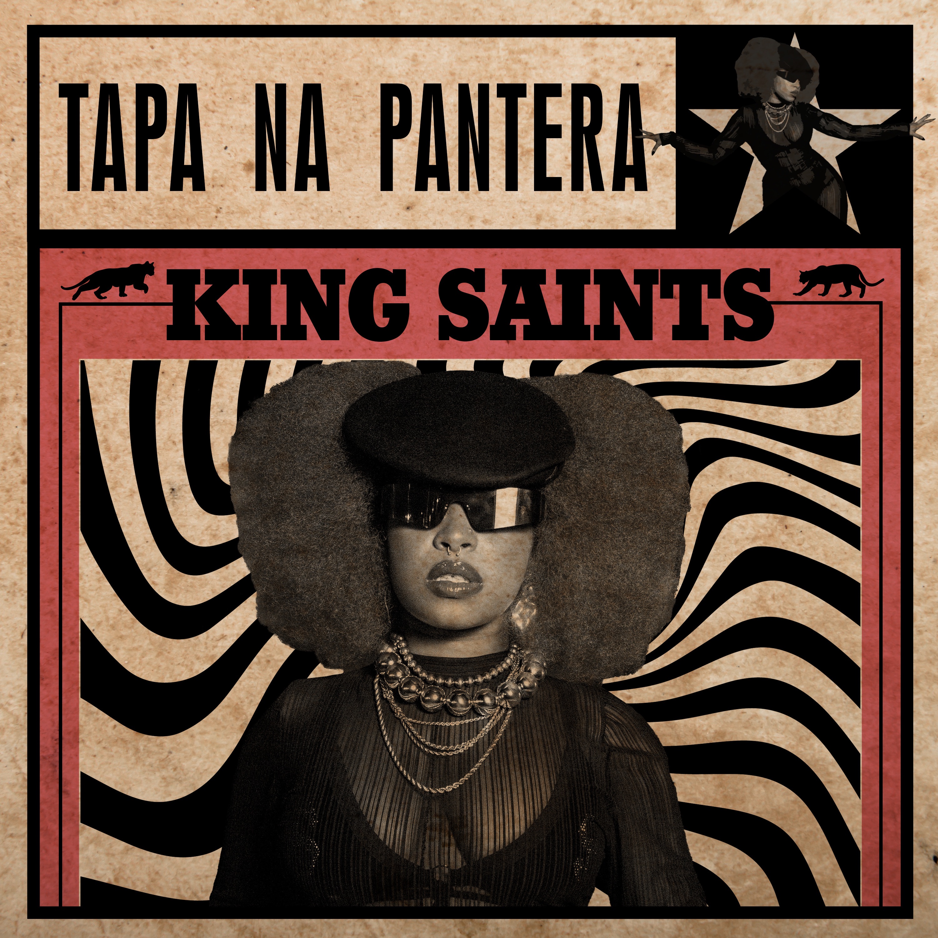 TAPA NA PANTERA - Single