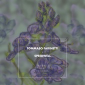 Speedwell artwork