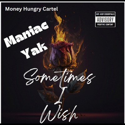 Sometimes I wish - Single