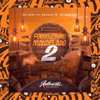 Forrozinho Mandelado 2 (feat. MC Baby & DJ GURIZÃO) - Single - DJ BRUNIN JS