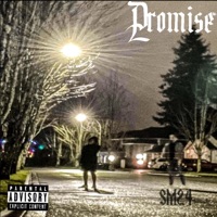 Promise - Single - SlowDownnn
