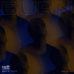 Burn (feat. Randy) [Pyari Remix]