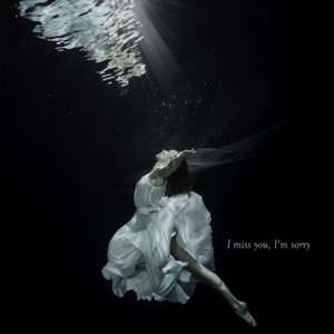 I Miss You, I'm Sorry - EP