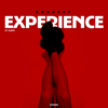 Experience - EP - Roudeep