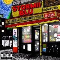 In the Air (Deli Freestyle) - Single - Stormii Blu