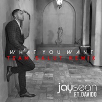 Album cover for What You Want (Team Salut Extended Mix) by Jay Sean & Davido