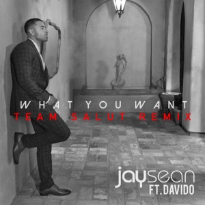 What You Want (Team Salut Extended Mix) - Single