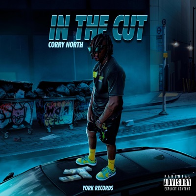 In the Cut - Single