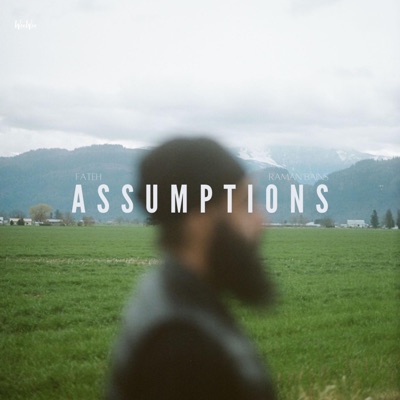 Assumptions - Single