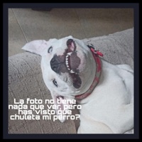 Desgaste - Single - Crz 206