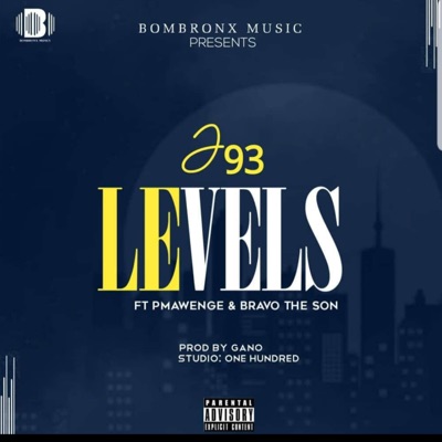 LEVELS (feat. P MAWENGE & Bravo the son) - Single