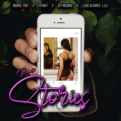 Stories (feat. Titan F, Jey Medina Mx & Luis Alvarez-LAZ) [Remix] - Single