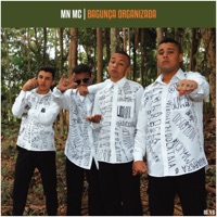 Bagunça Organizada - MN MC